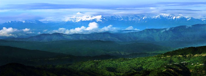 1412/Essence of Nature - Ranikhet 14.jpg